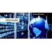 Consultoria - Web Designer