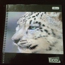 Caderno 96 Folhas