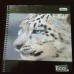 Caderno 96 Folhas