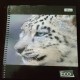 Caderno 96 Folhas